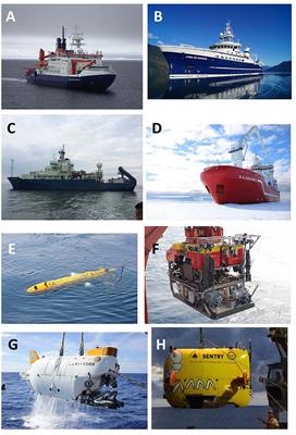 Marine Genetic Resources in Areas Beyond National Jurisdiction: Promoting Marine Scientific Research and Enabling Equitable Benefit Sharing